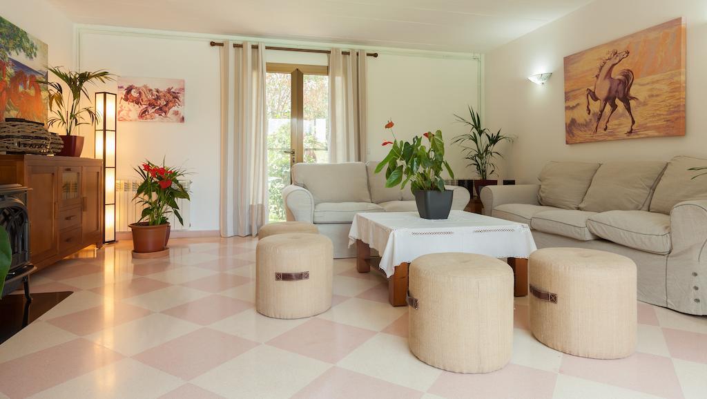 Llamas Villa Pollenca